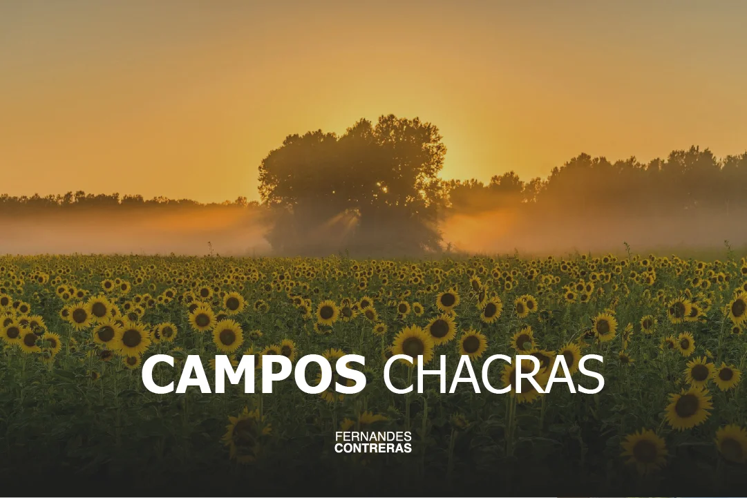 contreras fernandes inmobiliaria cañuelas rural chacras campos lote inmueble venta arrendamiento